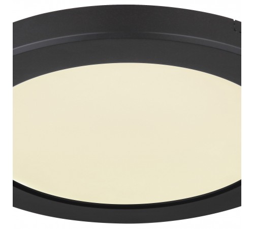 Накладной светильник Globo 12379-18B Lasse