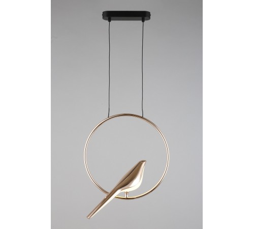 Подвесной светильник Aployt APL.822.06.10 Astor