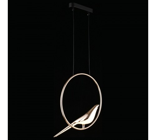 Подвесной светильник Aployt APL.822.06.10 Astor