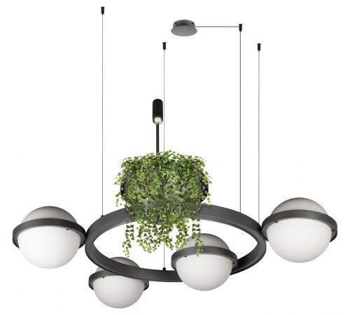 Подвесная люстра Loft it 10121/4 Dark grey Jardin