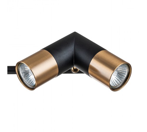 Люстра на штанге Indigo 11036/6R Black Doppio