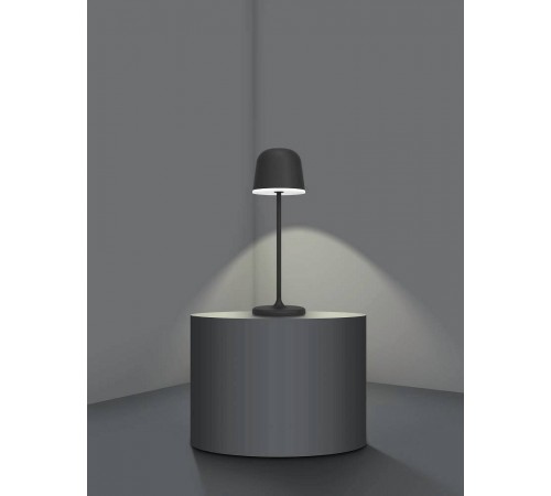 Настольная лампа декоративная Eglo 900457 Mannera