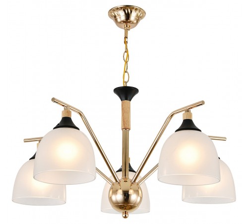 Подвесная люстра Escada 2123/5P Actinidia