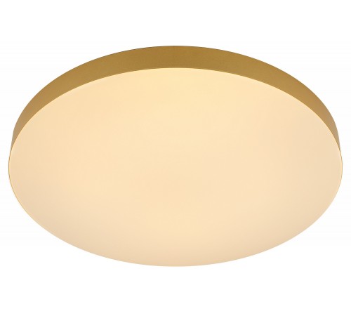 Накладной светильник Эра Relict 48 Pult SPB-6-60-RC MG Relict