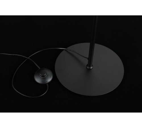 Торшер Aployt APL.312.05.04 Jagna