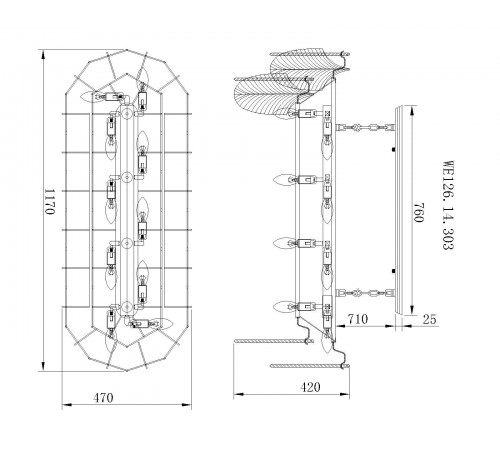 Потолочная люстра Wertmark WE126.14.303 Arctioma