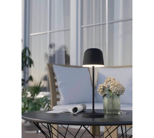 Настольная лампа декоративная Eglo 900457 Mannera