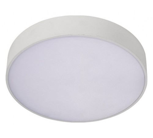 Накладной светильник Aployt APL.0114.09.18 Evon