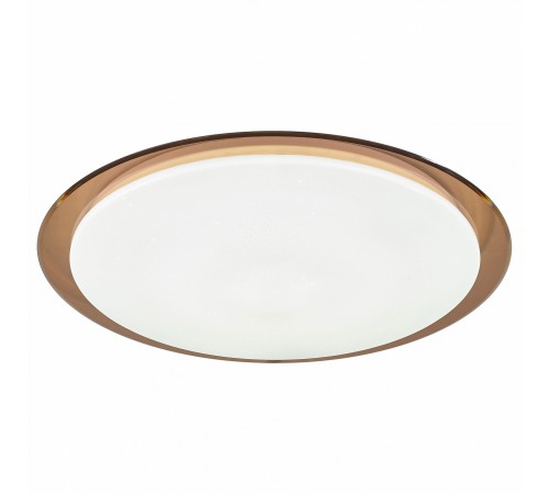 Накладной светильник Эра SPB-6-70-RC Saturn (B) Классик