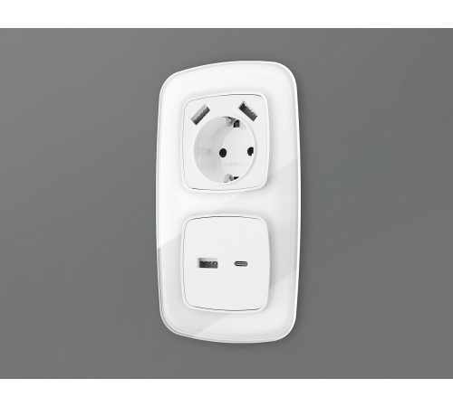 Накладка для розетки type A и C Ambrella Volt OP1110 Quant