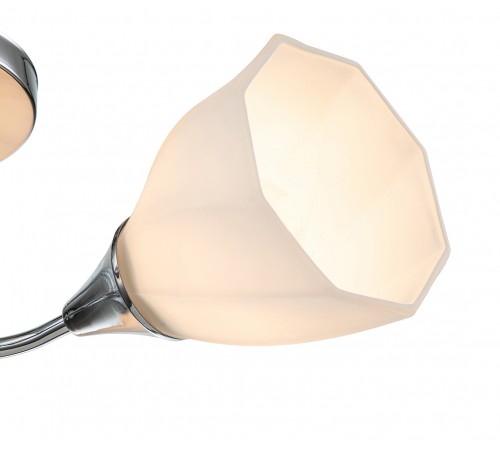 Потолочная люстра Escada 664/3P Camellia