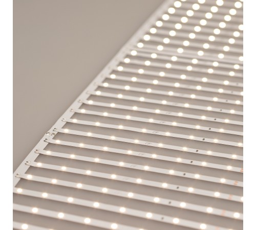 Лента светодиодная Arlight 027120(2)