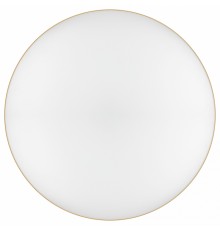 Накладной светильник Эра Relict 48 Pult SPB-6-60-RC MG Relict