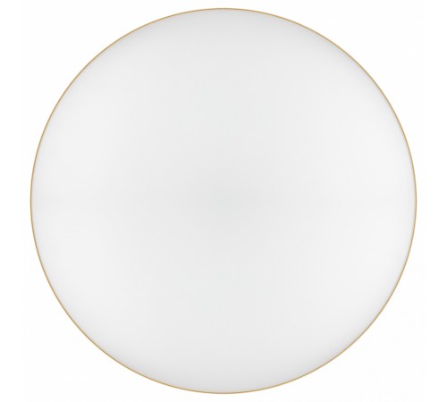 Накладной светильник Эра Relict 48 Pult SPB-6-60-RC MG Relict