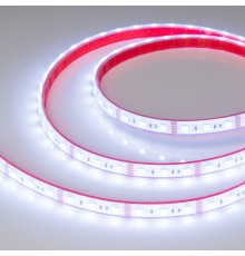 Лента светодиодная Arlight 033790 RTW герметичная
