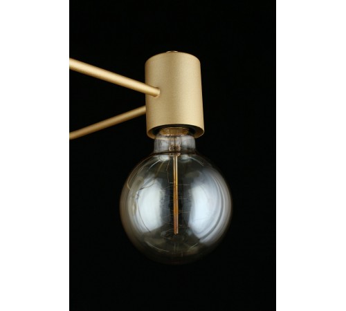 Потолочная люстра Aployt APL.911.07.03 Elison