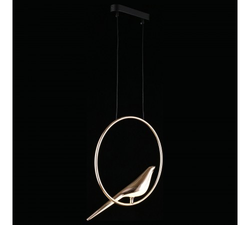 Подвесной светильник Aployt APL.822.06.10 Astor