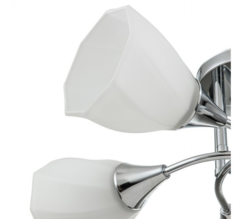 Потолочная люстра Escada 664/5P Camellia