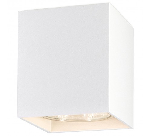 Накладной светильник Ambrella Light TN213139 TN