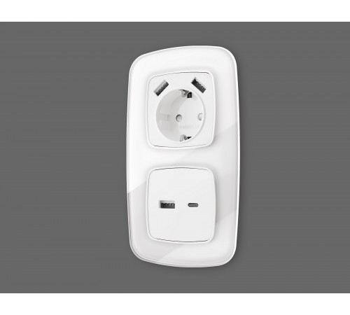 Накладка для розетки type A и C Ambrella Volt OP1310 Quant