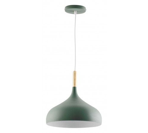 Подвесной светильник Moderli V1296-1P Eline