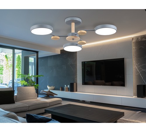 Люстра на штанге Ambrella Light FL4856 FL