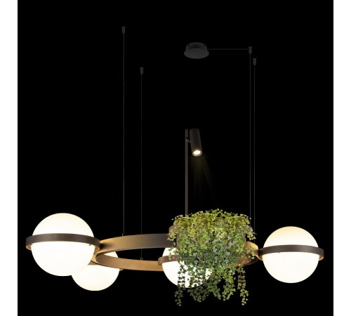 Подвесная люстра Loft it 10121/4 Dark grey Jardin