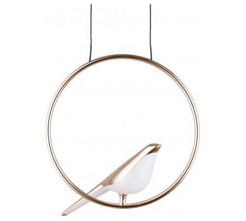 Подвесной светильник Aployt APL.822.06.10 Astor