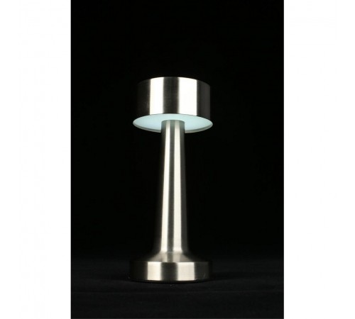 Настольная лампа декоративная Aployt APL.671.14.01 Perrayn