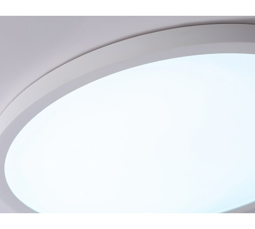 Накладной светильник Ambrella Light FZ1955 FZ