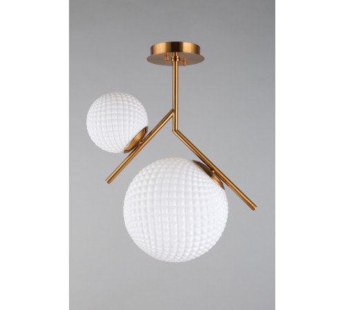 Светильник на штанге Aployt APL.300.07.02 Marzena