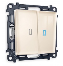 Выключатель двухклавишный с подсветкой без рамки Ambrella Volt MA304020 Quant