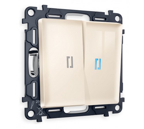 Выключатель двухклавишный с подсветкой без рамки Ambrella Volt MA304020 Quant