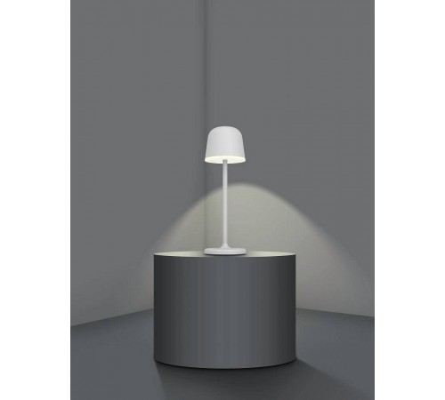 Настольная лампа декоративная Eglo 900458 Mannera