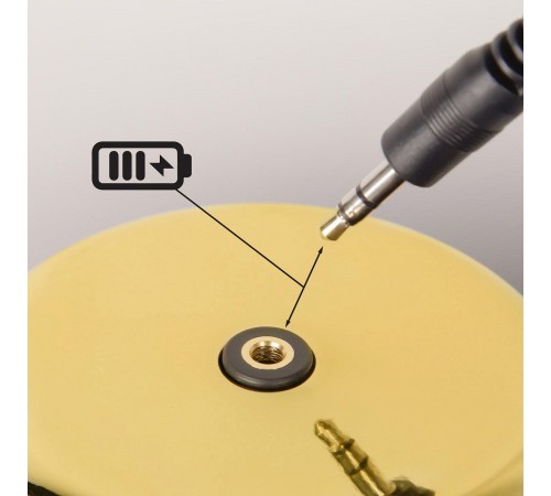 Настольная лампа декоративная Loft it 10233/E Gold Brothers