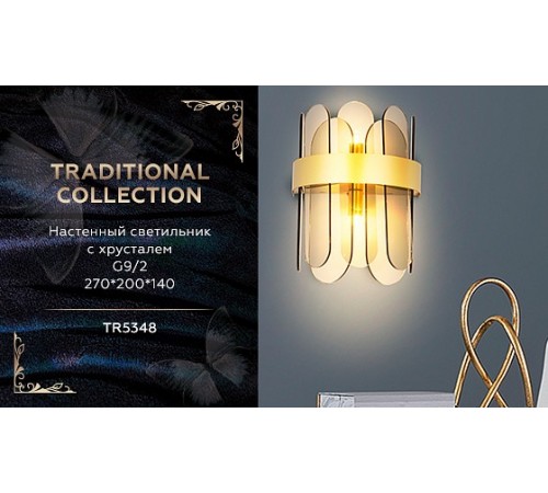 Накладной светильник Ambrella Light TR5348 TR