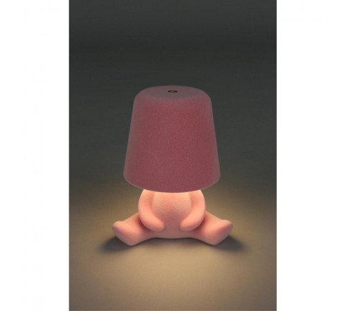 Зверь световой Aployt APL.677.14.01 Olka