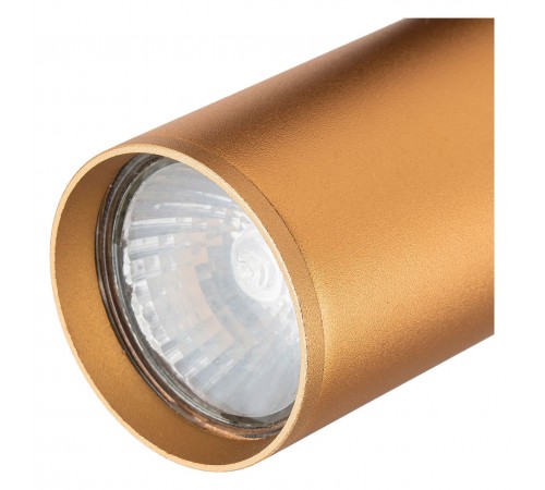 Светильник на штанге Escada 20001TRA/01 BR 20001