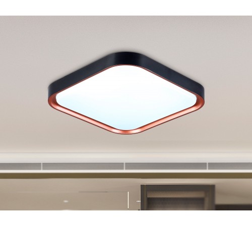 Накладной светильник Ambrella Light FZ1265 FZ