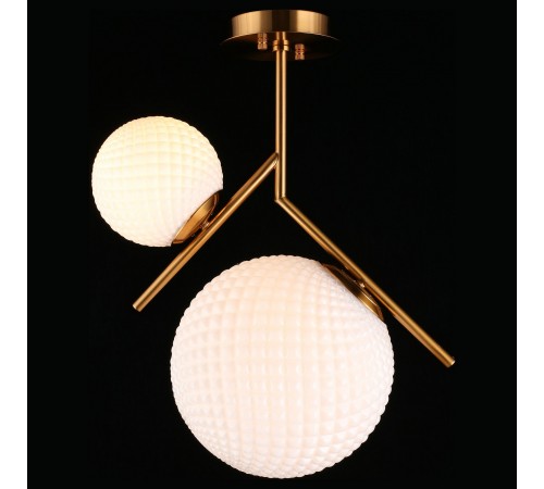 Светильник на штанге Aployt APL.300.07.02 Marzena