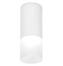 Накладной светильник Ambrella Light TN230 TN