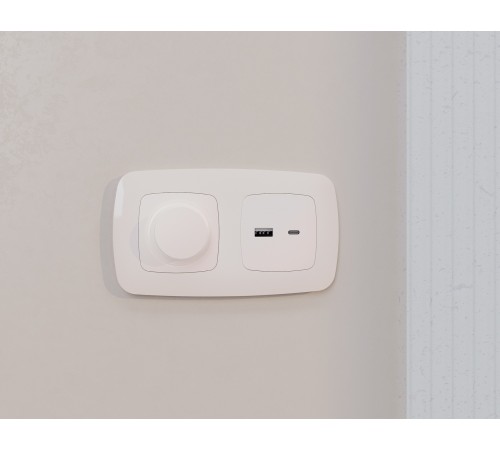 Накладка для розетки type A и C Ambrella Volt OP2110 Quant