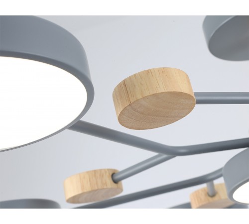 Люстра на штанге Ambrella Light FL4865 FL