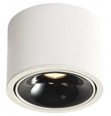 Накладной светильник Wertmark WTA.O06.067.30.07 WTA.O06