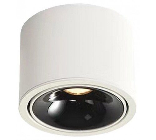 Накладной светильник Wertmark WTA.O06.067.30.07 WTA.O06