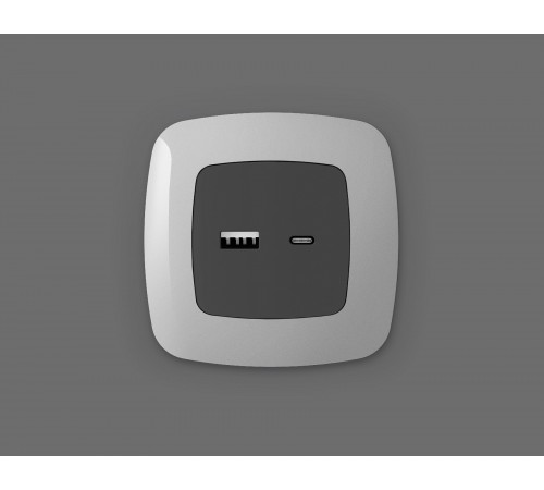 Накладка для розетки type A и C Ambrella Volt OP9110 Quant