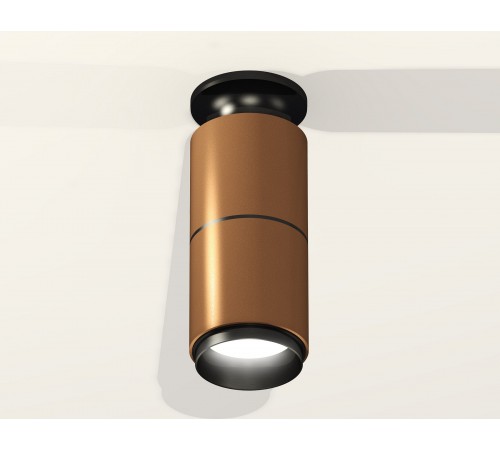 Накладной светильник Ambrella Light XS6304170 XS