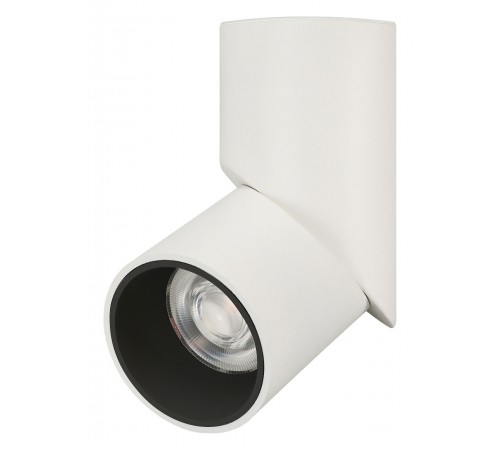 Светильник на штанге Arlight 024992(1) TWIST