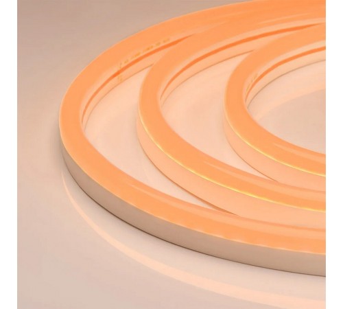 Лента светодиодная Arlight 030862(1) NEON