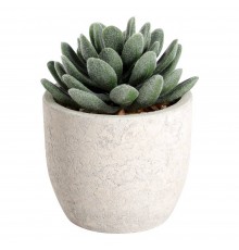 Растение в горшке (80x110) Chitose 428011